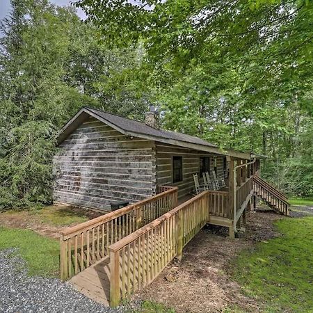 Cozy 'Grey Fox' Cabin Between Boone & Blowing Rock Exteriör bild