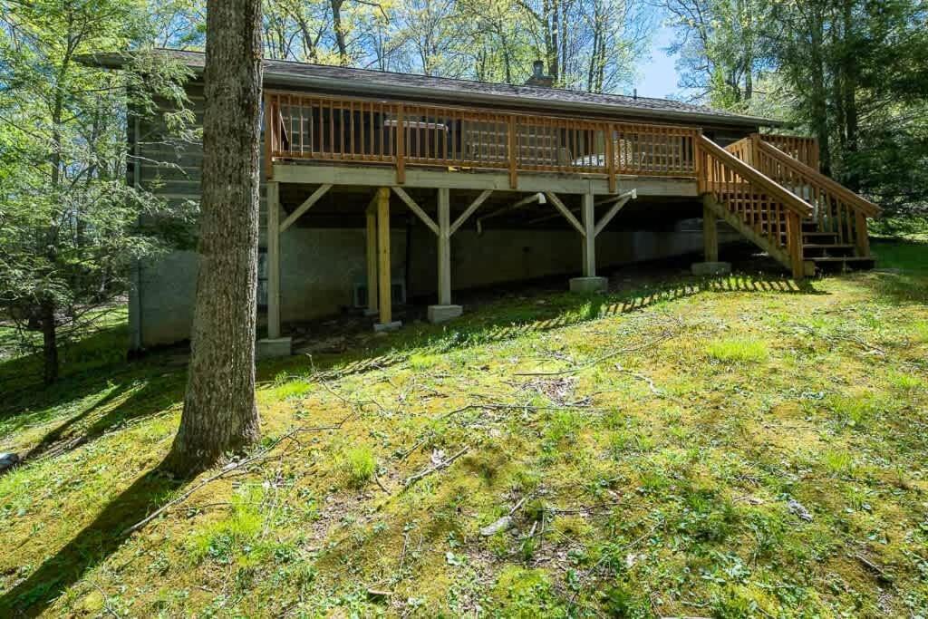 Cozy 'Grey Fox' Cabin Between Boone & Blowing Rock Exteriör bild