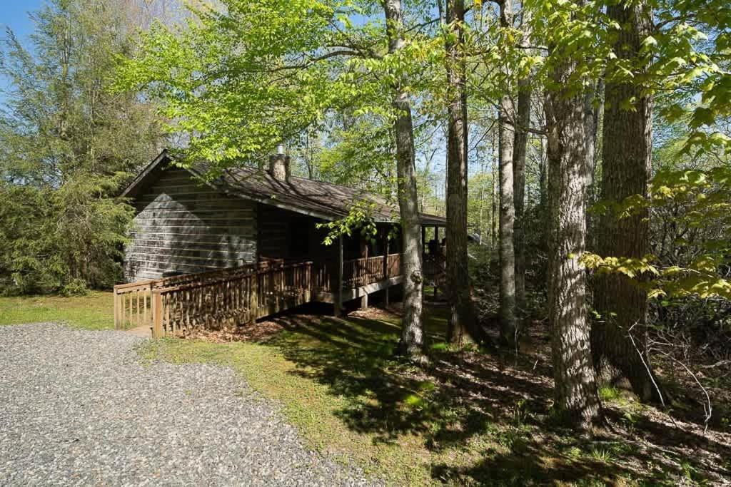 Cozy 'Grey Fox' Cabin Between Boone & Blowing Rock Exteriör bild